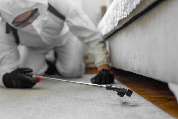 Professional Cockroach Control technician working in Roosevelt Gardens, FL