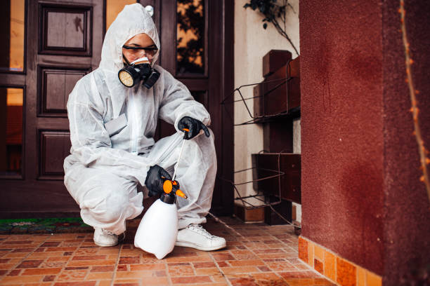 Reliable Cockroach Control contractor in Roosevelt Gardens, FL by Nex Pest Control