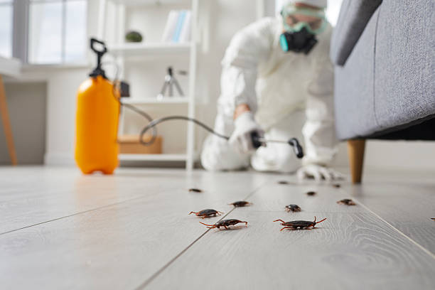 Affordable Cockroach Control solutions in Roosevelt Gardens, FL